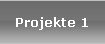 Projekte 1